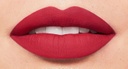 Bourjois Rouge à lèvres Rouge Edition Velvet  15 Red-Volution 7,7ml