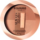Bourjois Always Fabulous Poudre Compacte Bronzante 02 Dark